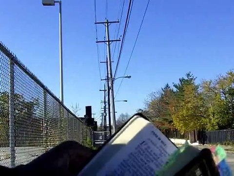 EDOM SHALL PERISH(3)