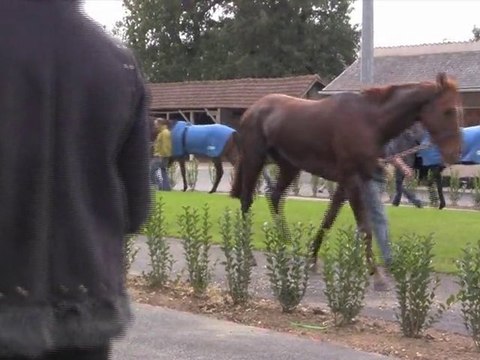 Hippodrome Angers Hiver 2010