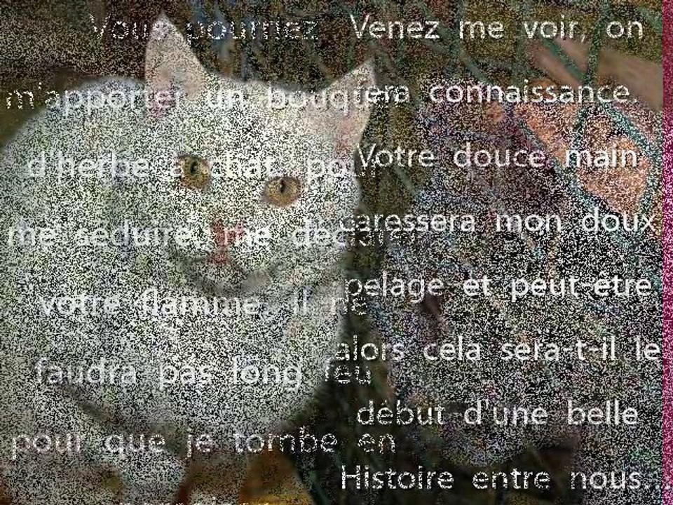 BOGUS vous attend au refuge de Beauregard