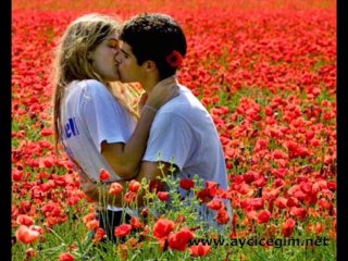 ALİ DUMLUPINAR ( ŞİİRİ ) SEVMEK KAYBOLDU