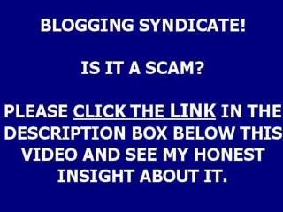 BLOGGING SYNDICATE - BEFORE YOU BUY!!!!