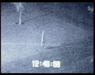 Paranormal Files (Créatures nocturnes / Soucoupe volante) 2
