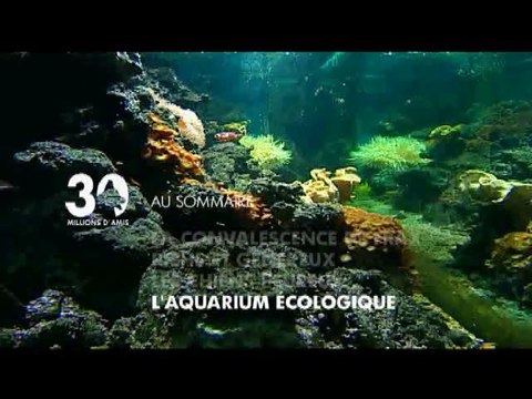 Sommaire émission 30 millions d'amis du 28 novembre 2010