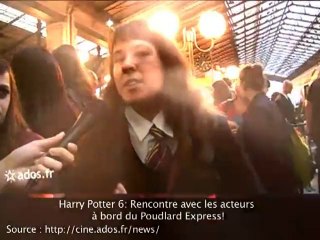 La Pottermania à travers le Web