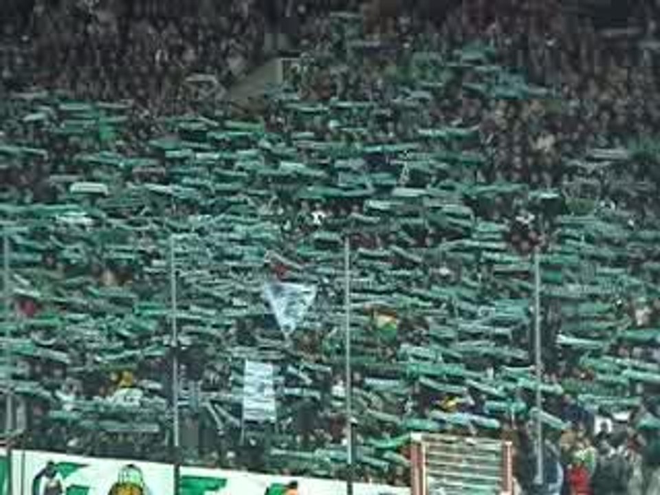 GREEN ANGELS tendu decharpe asse-om