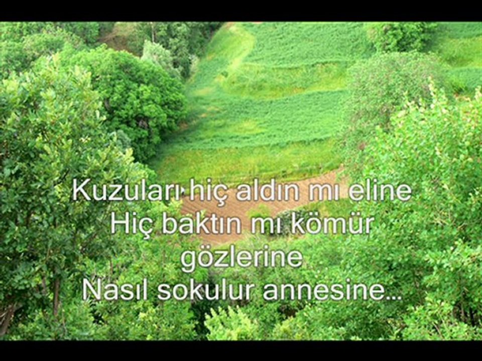 Bingöl Genç Şehittepe Köyü-Zercane Çolig-