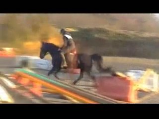 Ecuries du Nevez Nano