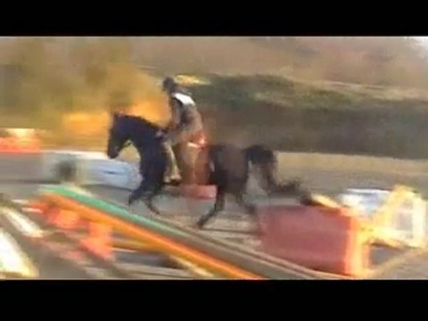 Ecuries du Nevez Nano