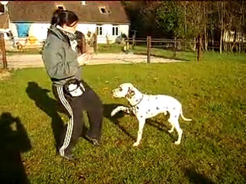 Epsilon apprend le tic tac !