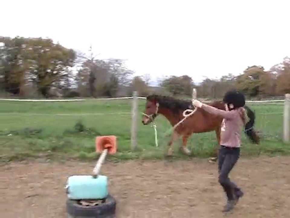 MOV00003 coub saut en libert