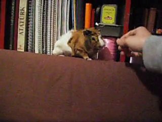 hulki ve sakinenin yemek vakti