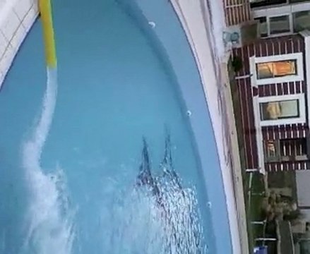 SANCAK SU 0532 477 01 08 HAVUZ SUYU KULLANMA SUYU TANKER SUYU TANKER SU