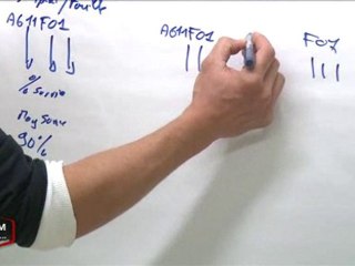 Ostréiculture : A la recherche d'une huitre plus résistante