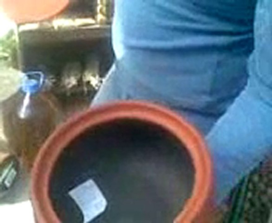 İstanbul, İzmir, Ayvalık, Çeşme, Foça, Kuşadası, Selçuk, Efes, Bergama İngilizce-Norvecce Profesyonel Kokartlı Turist Rehberi, Sinan Tortum --Karaburun, Izmir, Turkey