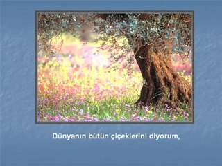 Dünyanın bütün çiçekleri (Dasitane)