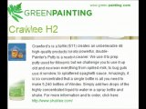 Green Painters New York City | Painters NYC | Eco Painting –