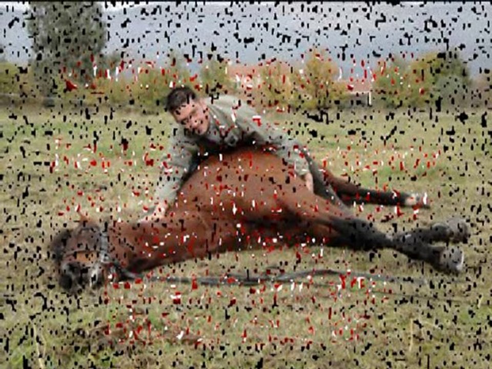 figures d'equitation 1