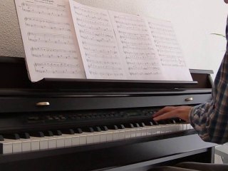 Alexandre Desplat-La jeune fille à la perle