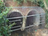 Draintec Services Ltd Drain & Sewer Cleaning in Oxford