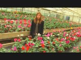 Enseignement agricole 100% nature - Horticulture