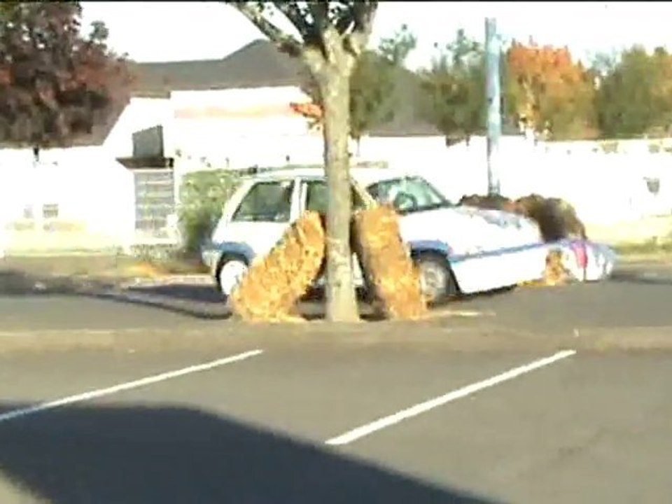 SLALOM GIEN (45) 2010 SPECIAL CHRISTOPHE SCHERRENS