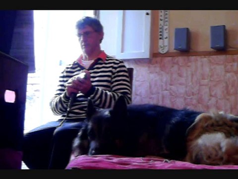 memory à l'harmonica chromatique pour mon chien