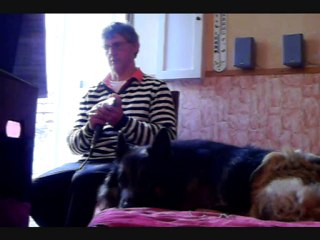 memory à l'harmonica chromatique pour mon chien