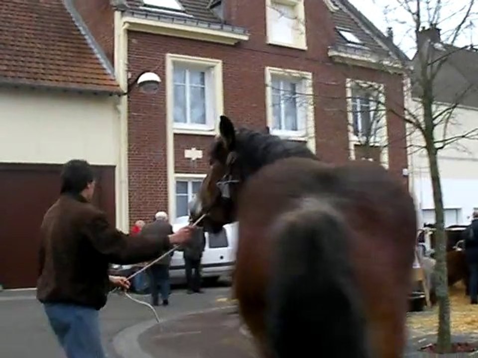 Grandvilliers : foire Sainte-Cécile