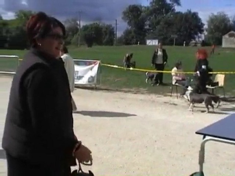 NE roulet 2005