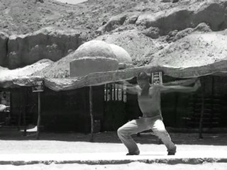 Промо техник "Зуб Дракона" и "Железный феникс"