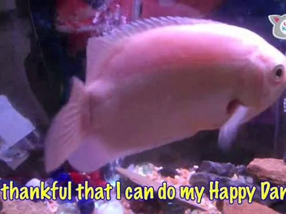 “The Ultra Fur Thanksgiving Show” : Ultra Fur