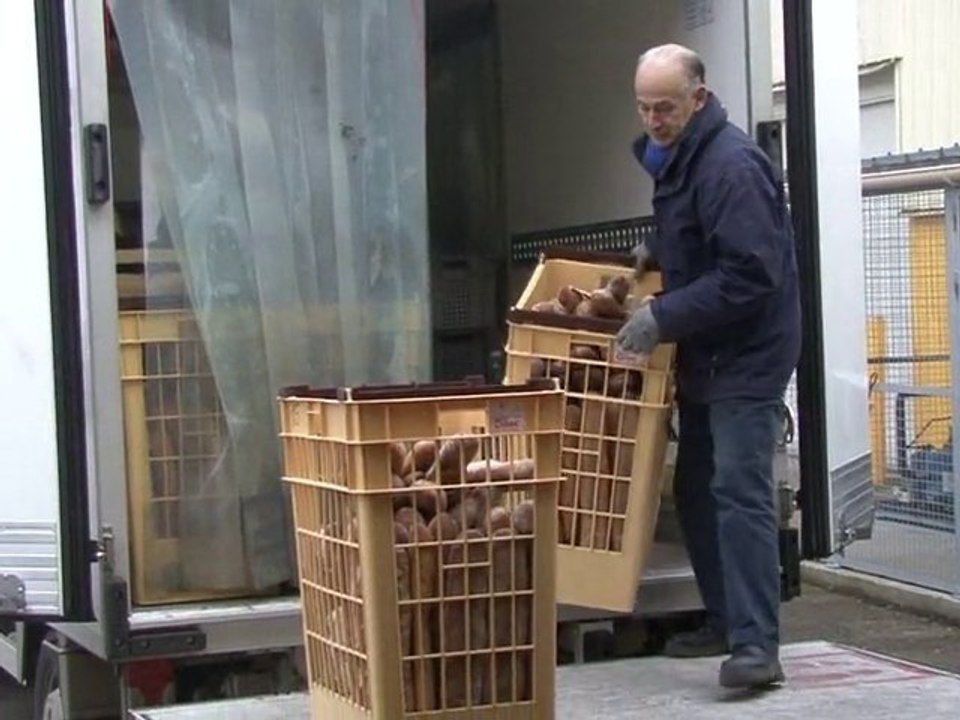 Collecte banque alimentaire 2010