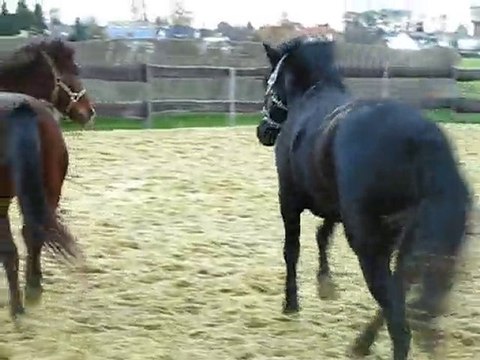 Ulys et Basile jouent