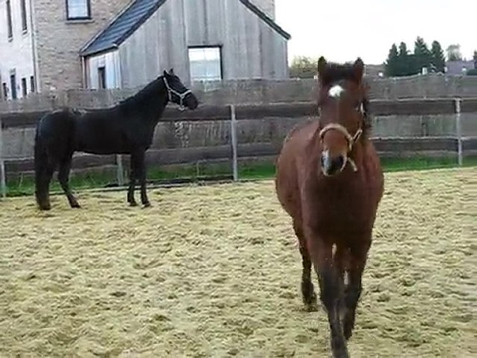 Ulys et Baslie jouent 2