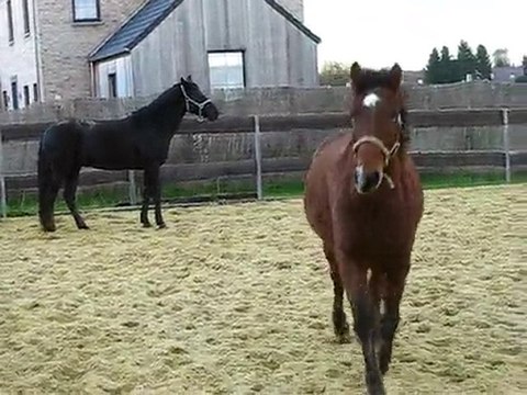 Ulys et Baslie jouent 2