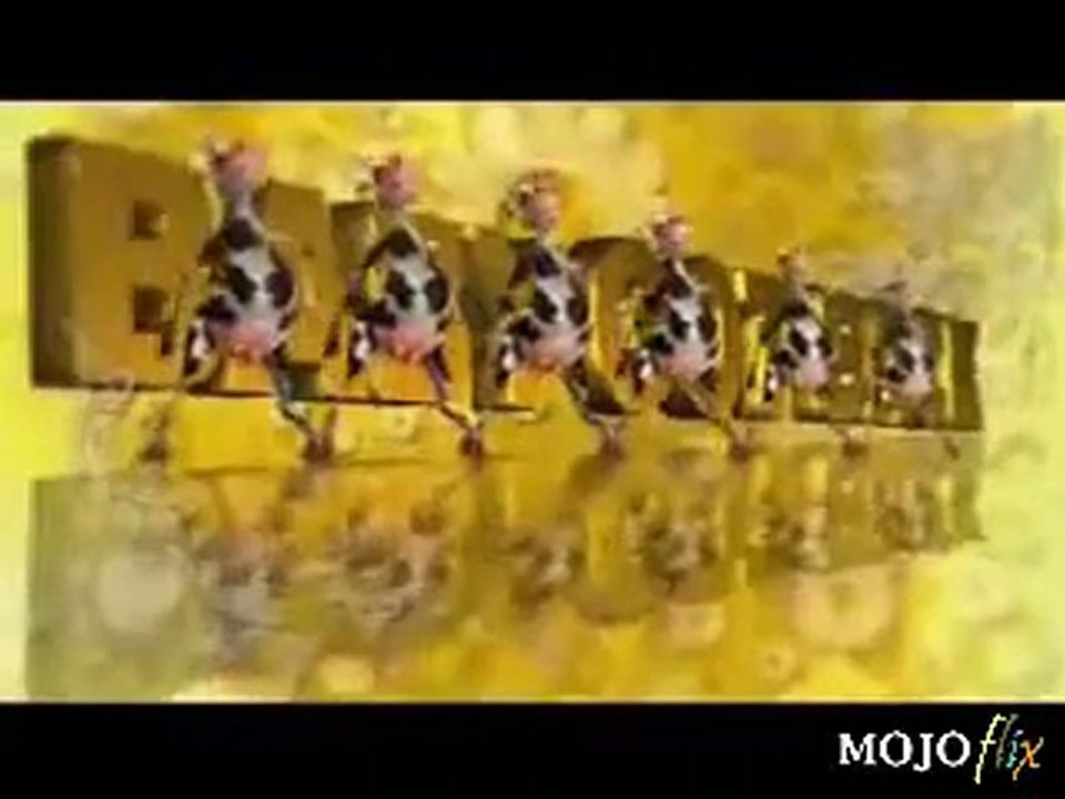 The Crazy Cow