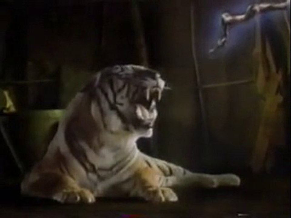 Willow Animal Morph