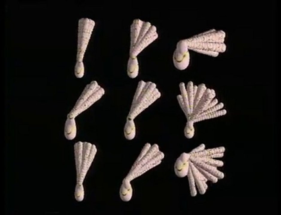 The Process Of Evolution - William Latham