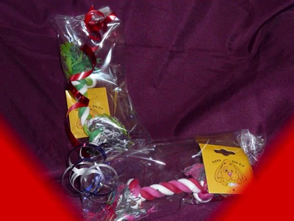 Le Noël des animaux, chez Dominimo