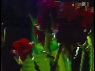 ALEM YÜZÜNE SALDI ZİYA ALİ MUHAMMMED-NEVESER İLAHİ-