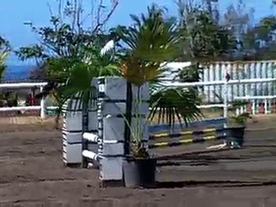 21.11.10 - CSO club à EMR - prépa 60 - SavannahSham