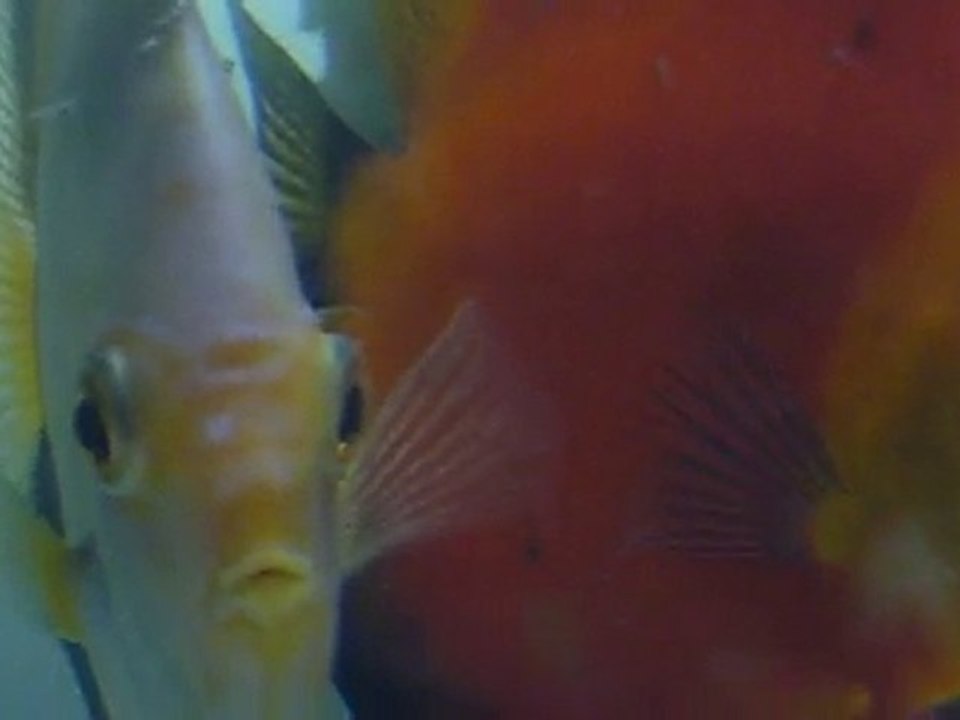 P1000517