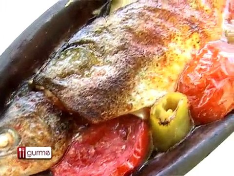 kaplıkaya cazibe merkezi yanı GİZLİ VADİ alabalık içkisiz