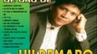 Amante Amiga - Hildemaro (Album - Éxitos De Oro) 1997