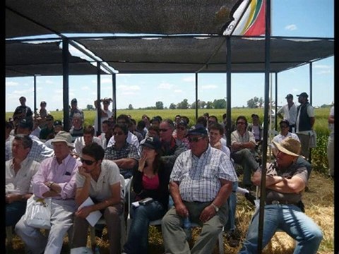 Ing. Virginia Verges