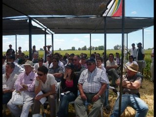 Ing. Virginia Verges