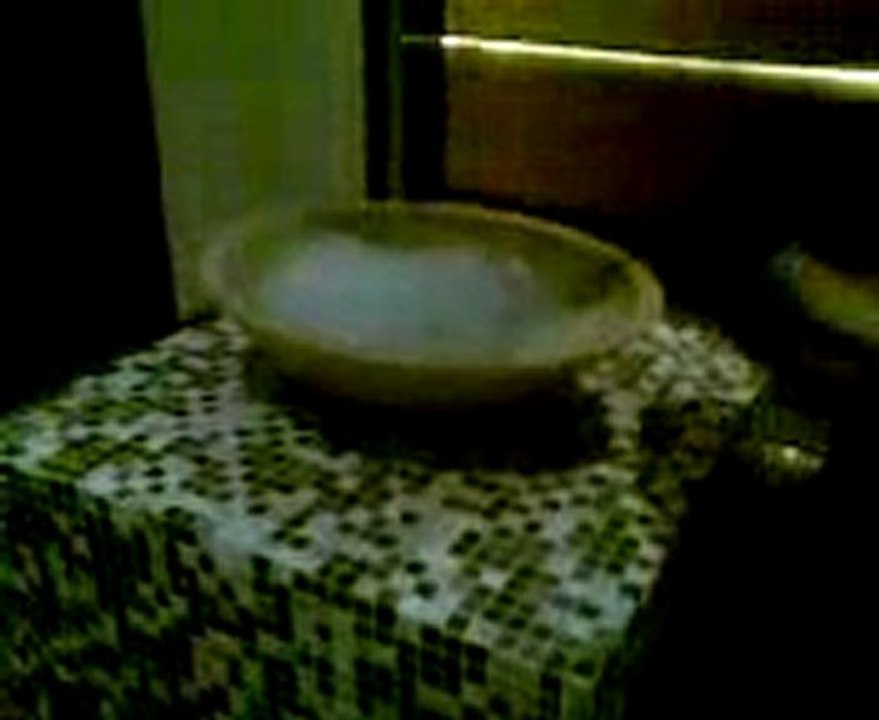 İstanbul, İzmir, Ayvalık, Çeşme, Foça, Kuşadası, Selçuk, Efes, Bergama İngilizce-Norvecce Profesyonel Kokartlı Turist Rehberi, Sinan Tortum --Kaya Izmir Hotel-Turkish Bath