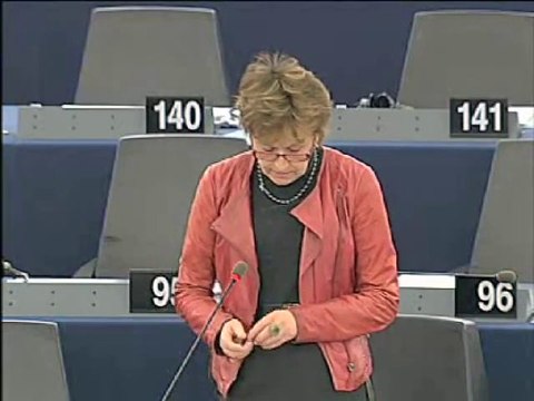 Anneli Jäätteenmäki on Explanations of vote