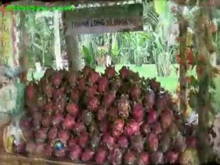 www.Film5vn.com_Trai Cay _5 (LN)_chunk_5