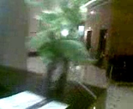 İstanbul, İzmir, Ayvalık, Çeşme, Foça, Kuşadası, Selçuk, Efes, Bergama İngilizce-Norvecce Profesyonel Kokartlı Turist Rehberi, Sinan Tortum Kaya Izmir Hotel- Lobby and Reception